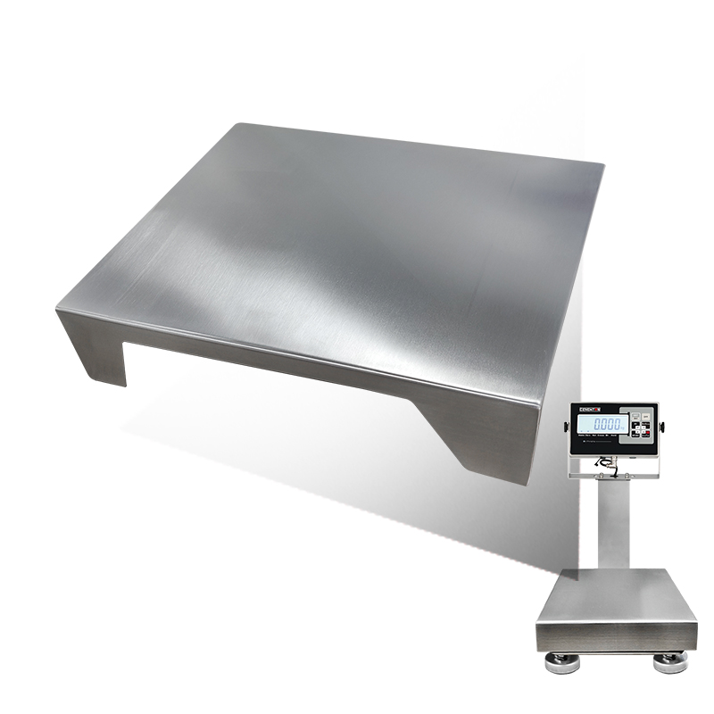 Scale Pan