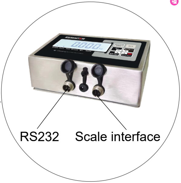 washdown bench scale