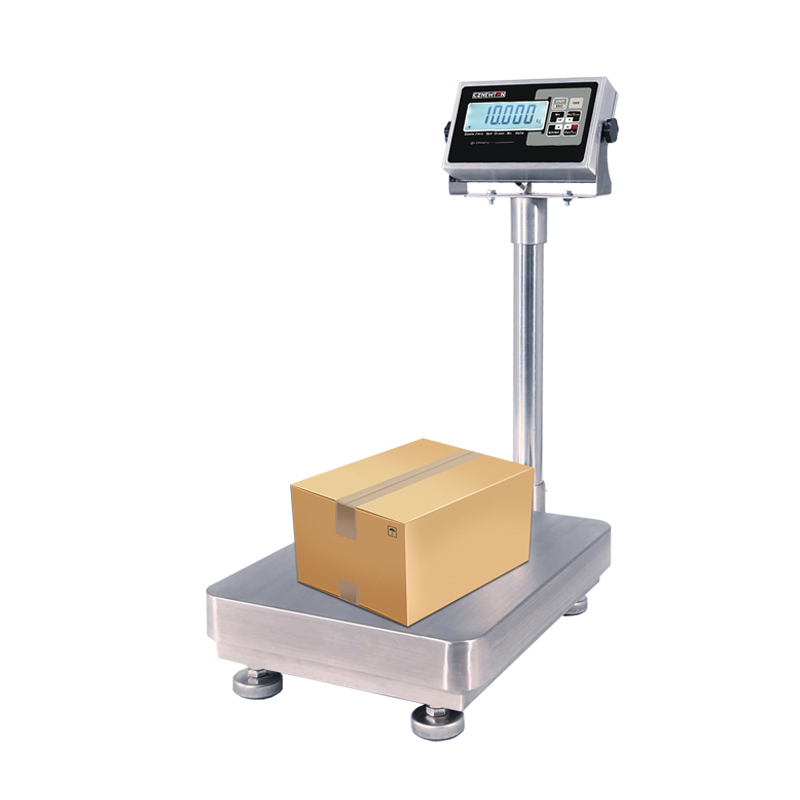 stainless scale