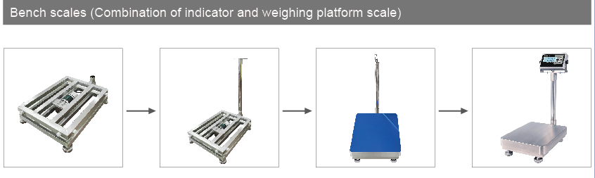 stainless scale
