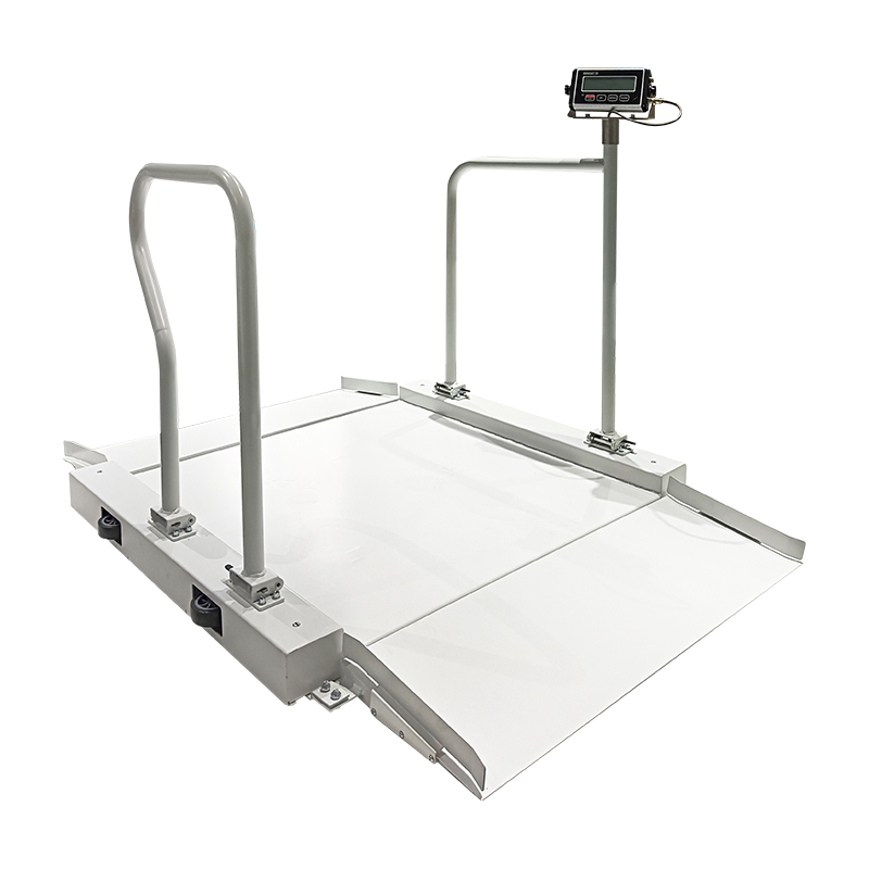Ramp Floor Scale Ramp Floor Scale