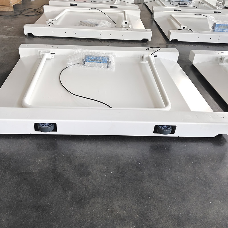 Ramp Floor Scale Ramp Floor Scale