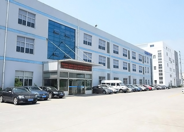 Cznewton Electronic scale manufacturer