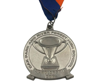 Campos de Aplicação das Medalhas (Figura)