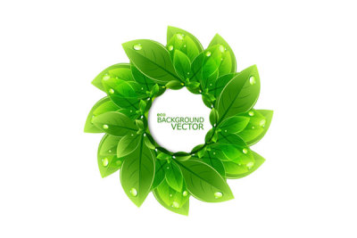 Use ECO Friendly Materials