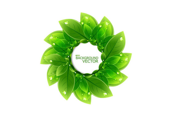 Use ECO Friendly Materials