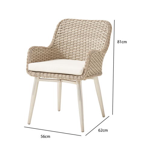 Outdoor Aluminum PE Rattan Dining Arm Chair