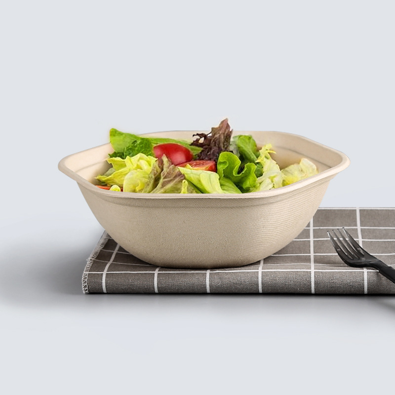 Sugarcane Bagasse Bowl Food Packaging Container