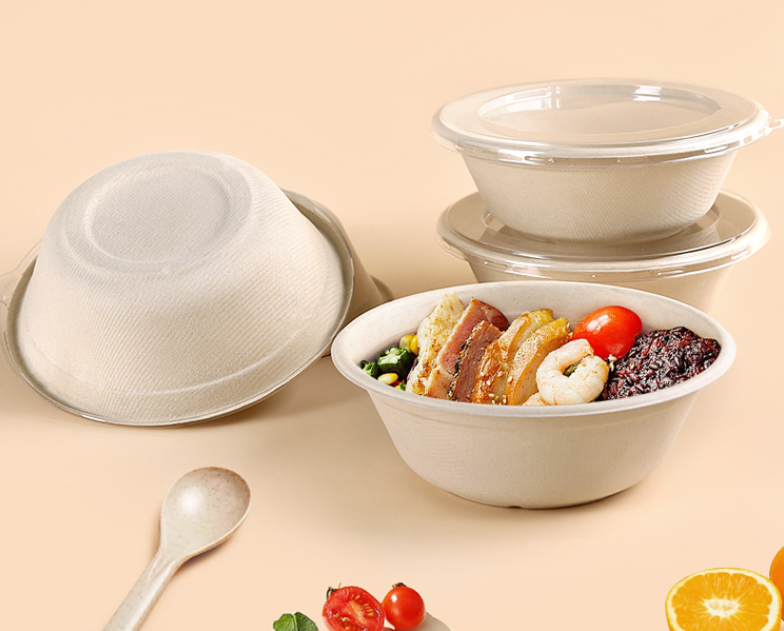 Sugarcane Bagasse Bowl Food Packaging Container