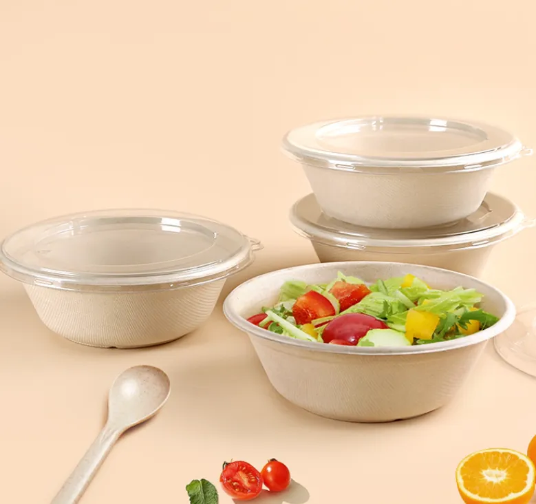 Sugarcane bagasse food bowls