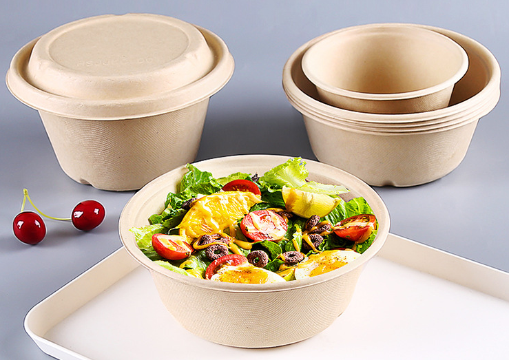 Sugarcane Bagasse Bowl Food Packaging Container