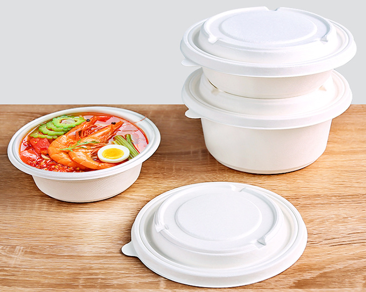 bagasse containers