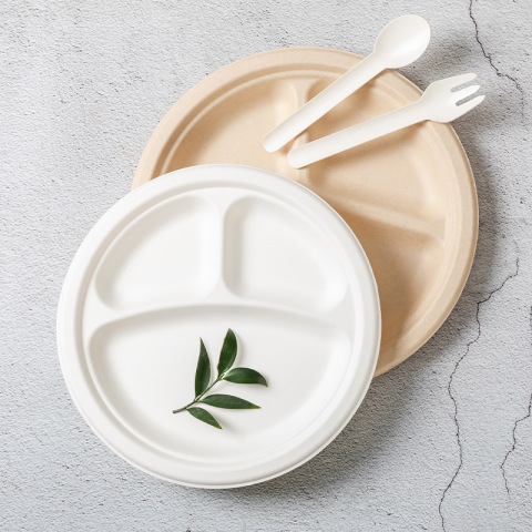 Biodegradable Disposable Sugarcane Bagasse Paper Plates