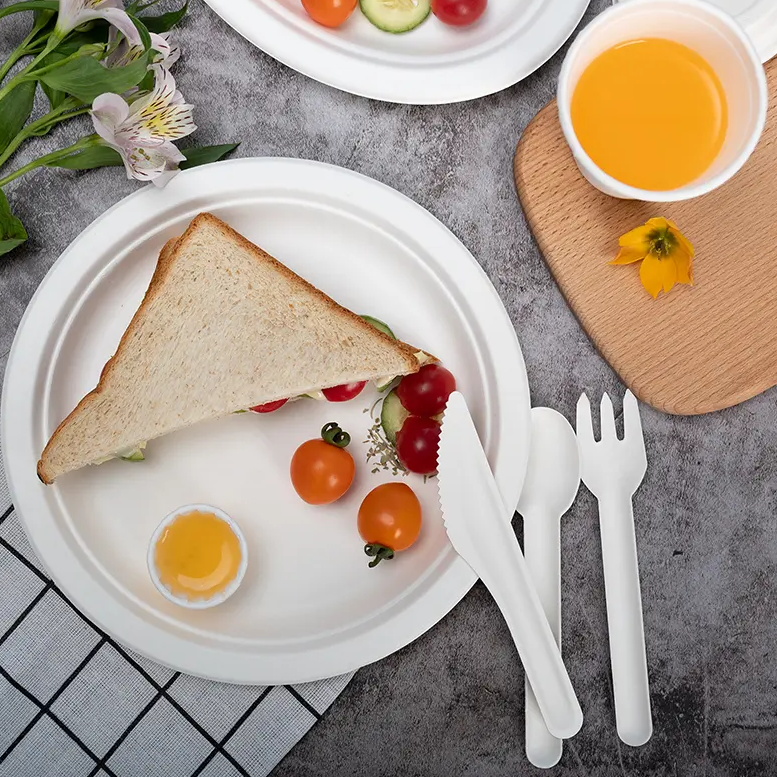 Piatti di carta monouso biodegradabili in bagassa di canna da zucchero