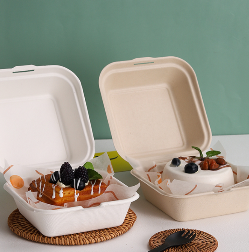 biodegradable bagasse packaging sugarcane burger lunch box