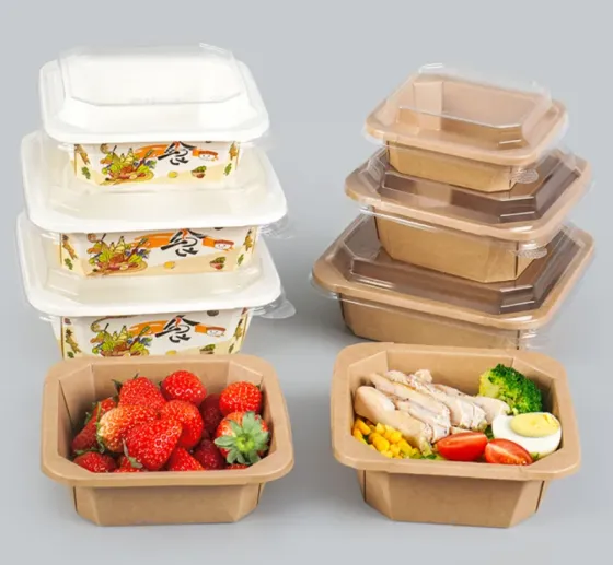 Factors of Disposable Square Kraft Paper Bowls Market Trend