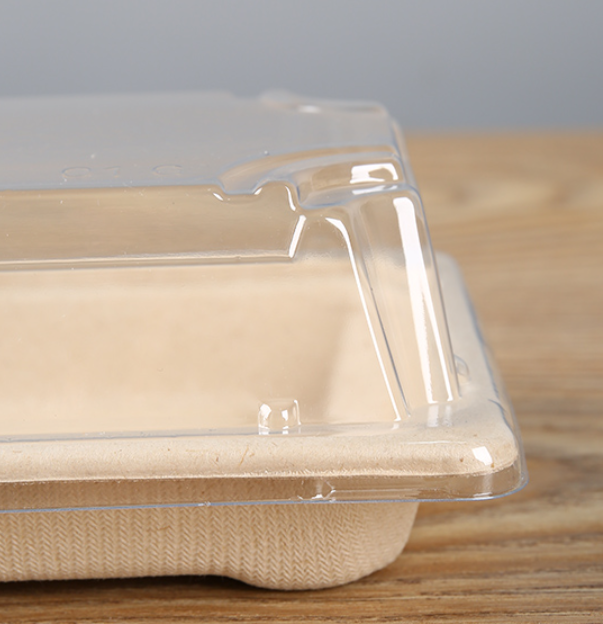 Bagasse Pulp Togo Bento Sushi Packaging Box With Lid