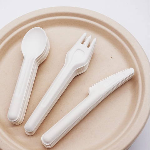 Sugarcane Bagasse Disposable Tableware Knife Fork Spoon