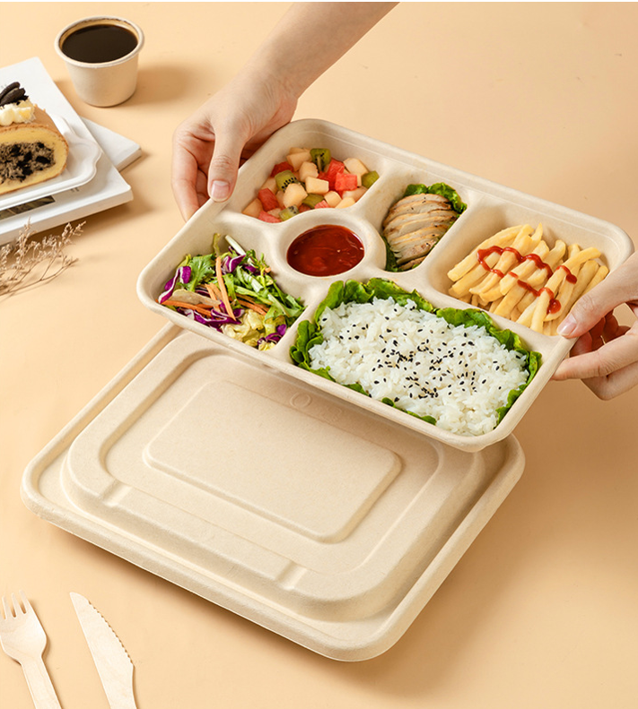 bagasse packaging boxes sugarcane food container