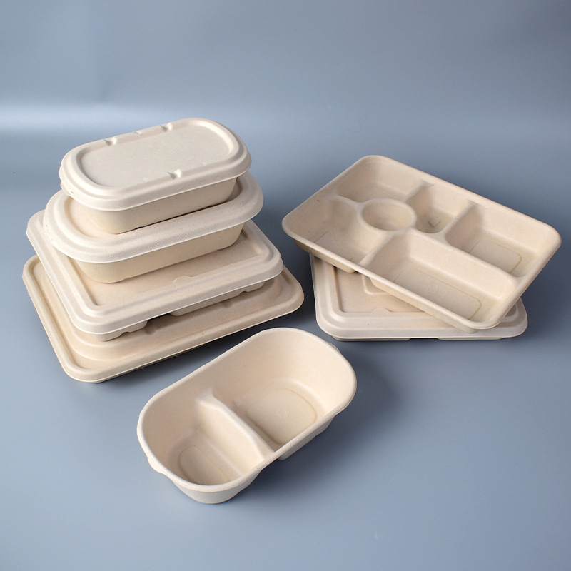 bagasse packaging boxes sugarcane food container