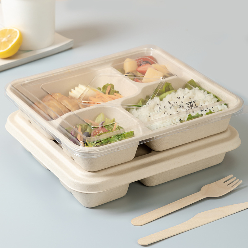 bagasse packaging boxes sugarcane food container