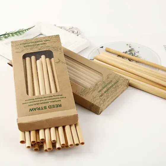 A sustainable alternative for a green future – disposable paper straws
