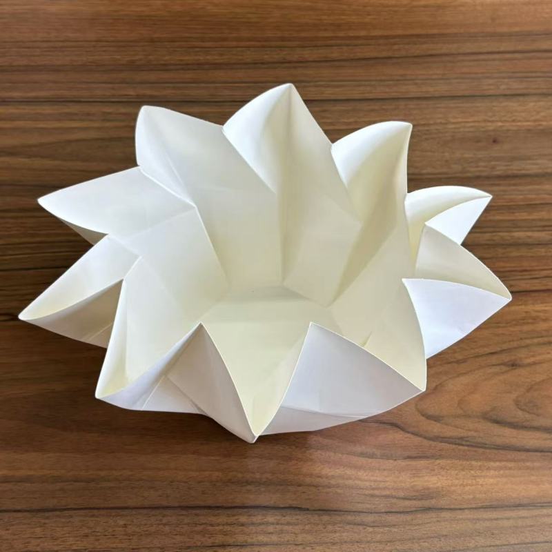 Μιας χρήσης Κυκλώνας Λωτός Χαρτί Κουτί Μεσημεριανό Κουτί Πέταλο Χάρτινο κουτί