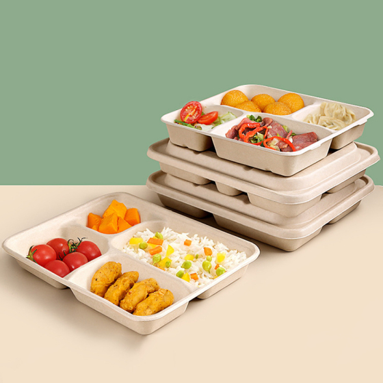 Doğru Şeker Kamışı Paket Servis Kaplarını Seçmek İçin İpuçları