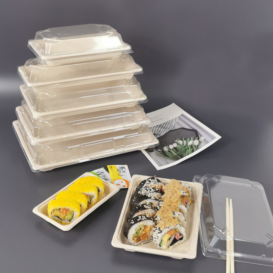 What’s the Difference Between PET Lid Sushi Boxes and PP Lid Sushi Boxes?
