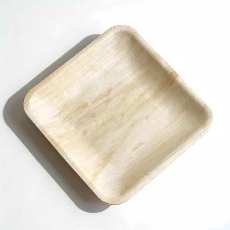 Disposable Square Dinnerware