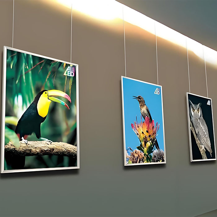Advertising Light Boxes