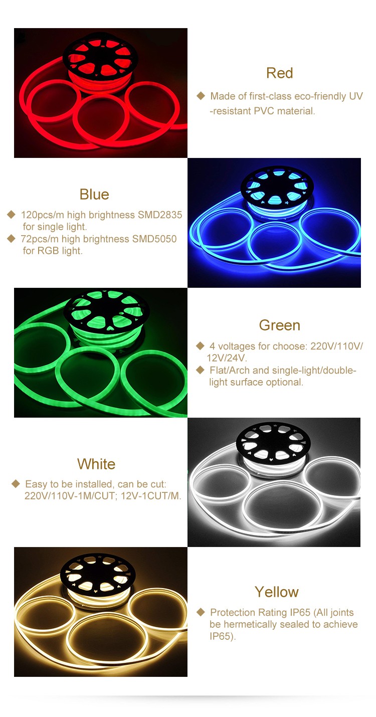 RGB LED Neon Light