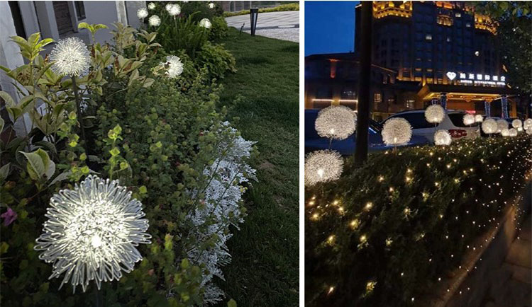 dandelion lights outdoor