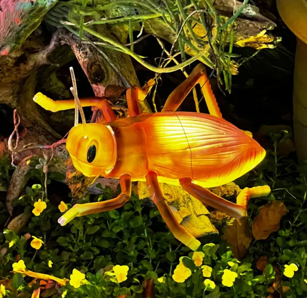 Led Cricket phát sáng côn trùng trang trí
