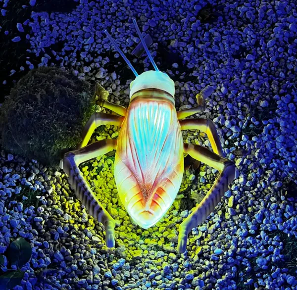 Led Cricket phát sáng côn trùng trang trí