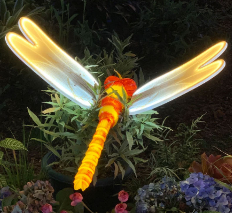 Dynamisk Dragonfly Flying 3D Motiv LED utomhusbelysning