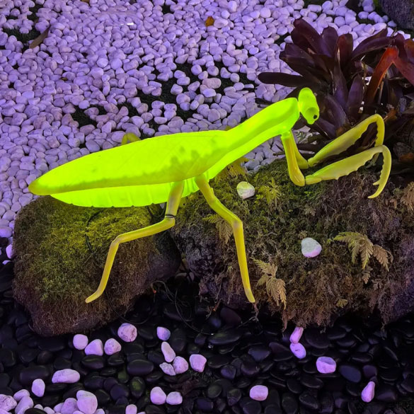 12v LED giant mantis garden light