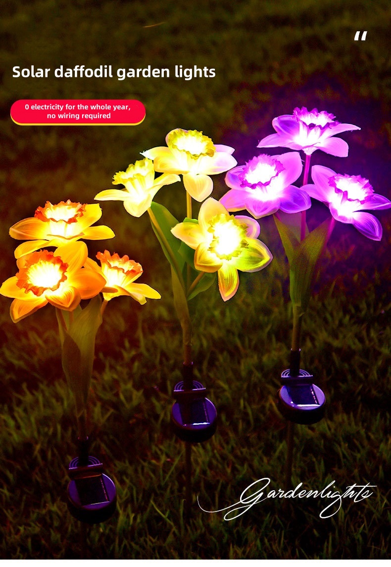 daffodil solar light