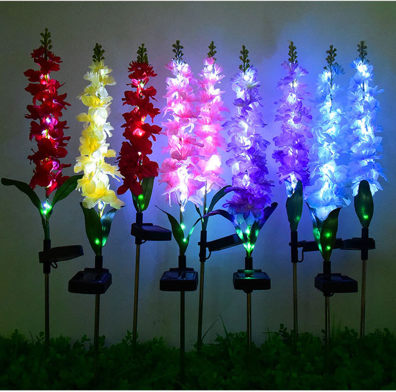 lighted hyacinth flower