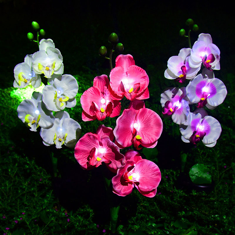 Wasserdichte Landschafts-Phalaenopsis-Blumengarten-Lichter