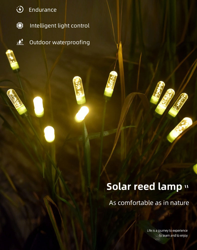 solar powered lawn lights