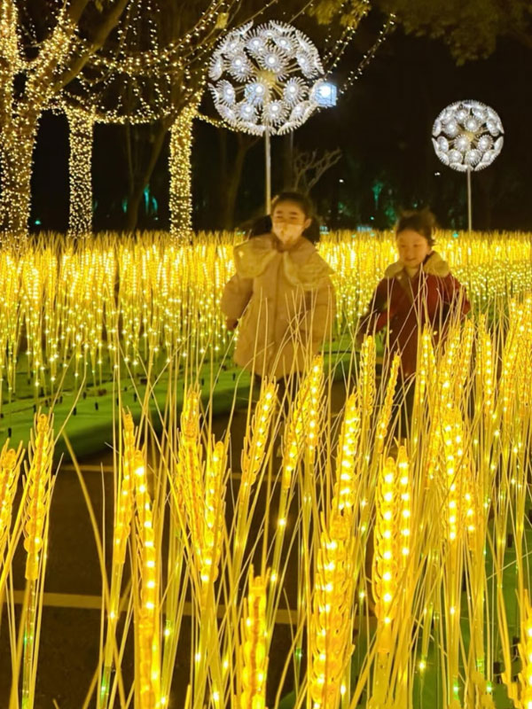 led wheat light