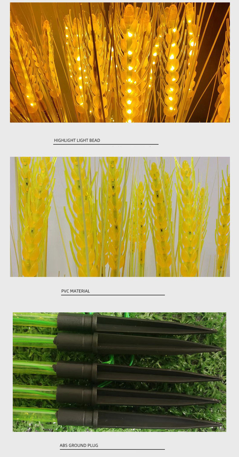 wheat light