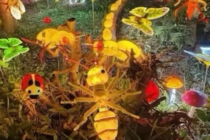 Garden Insect Light Video