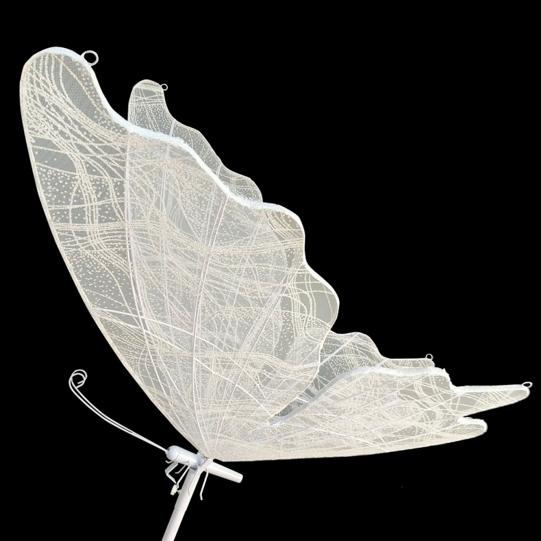 led butterflies