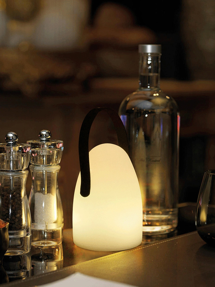LED camping night light