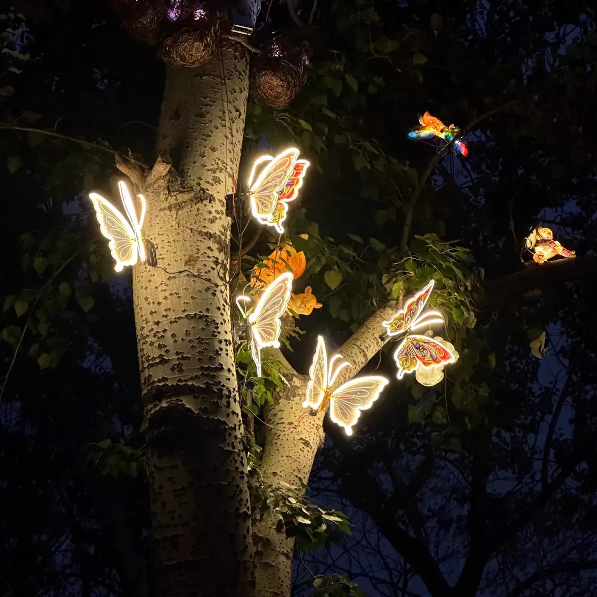 Dynamische vlinderlamp voor buitenboomdecoratie
