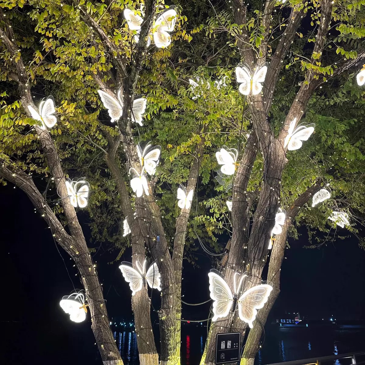 Dynamische vlinderlamp voor buitenboomdecoratie