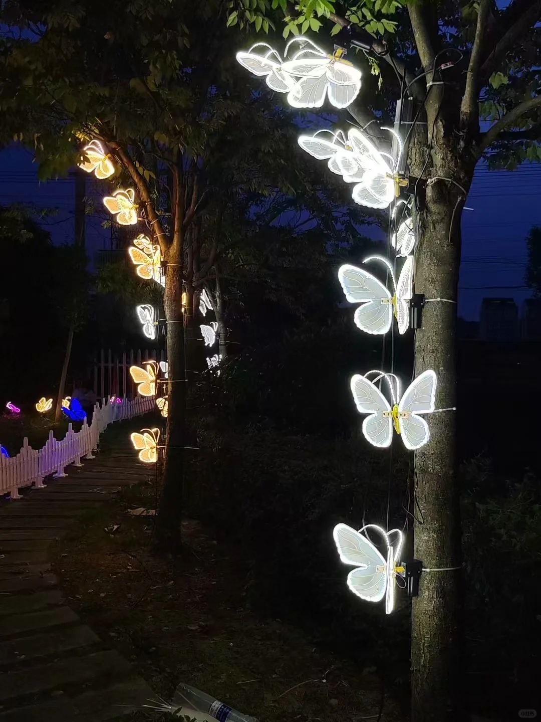 outdoor butterfly light
