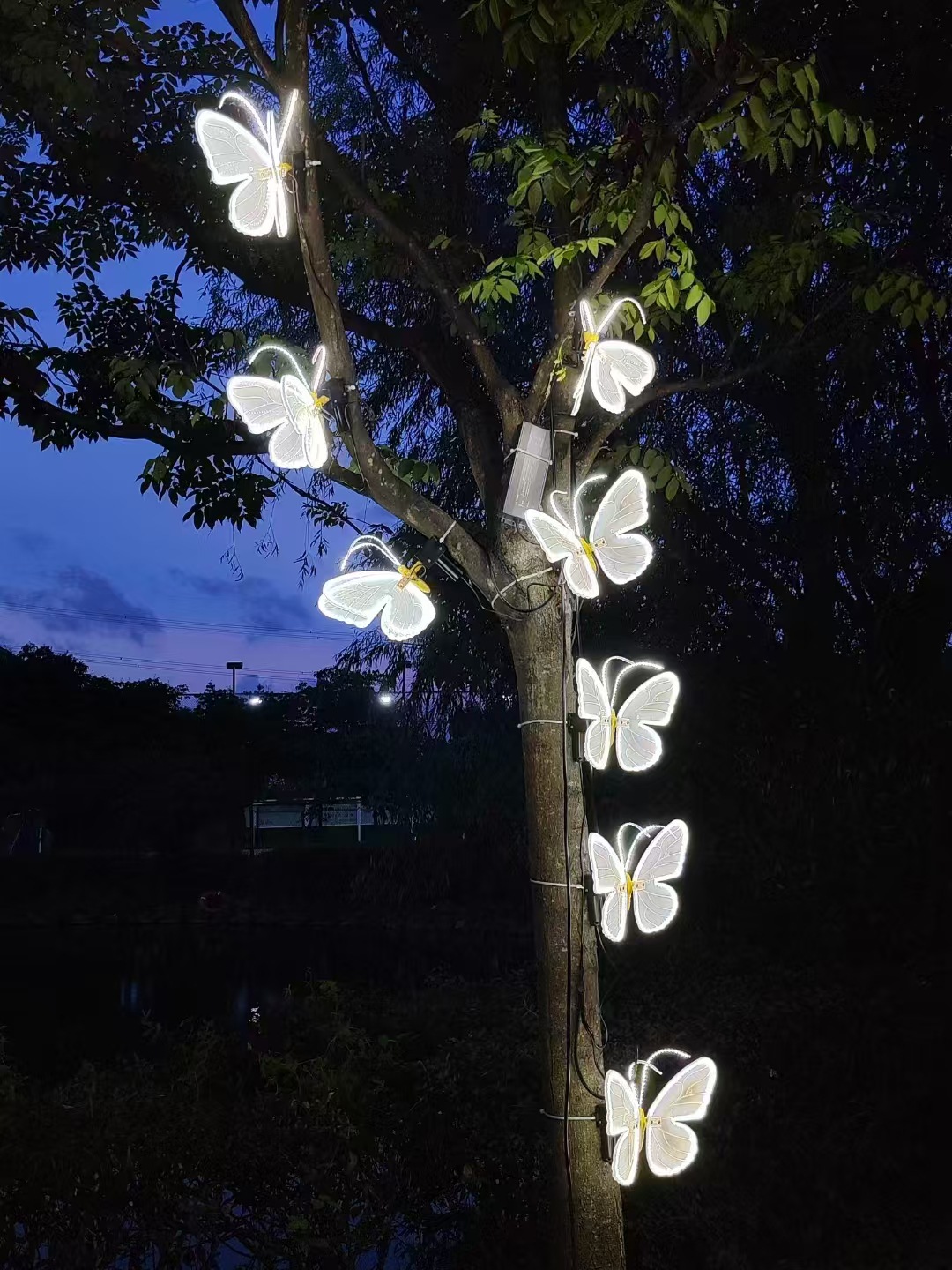 garden lights butterflies